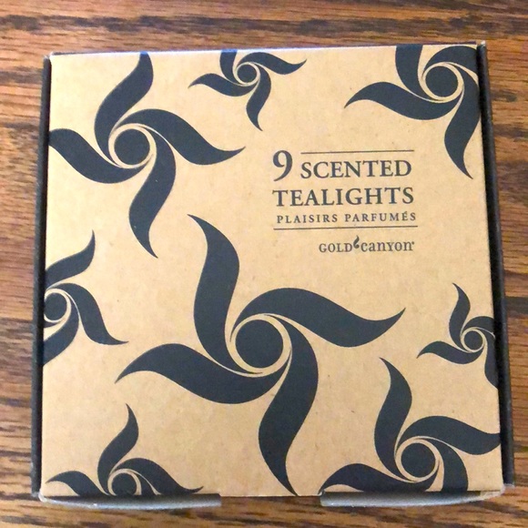 Gold Canyon Accents Gold Canyon 9 Scented Tealights Boughs Berries